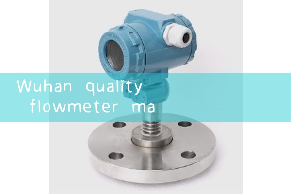Wuhan quality flowmeter manufacturer quotation